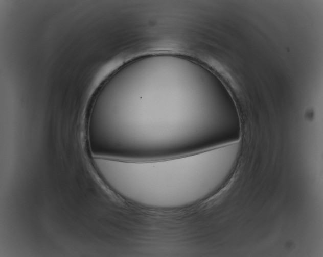 X0000097841469200803140824