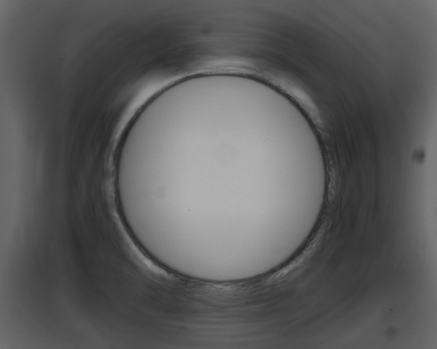 X0000097841470200803140824