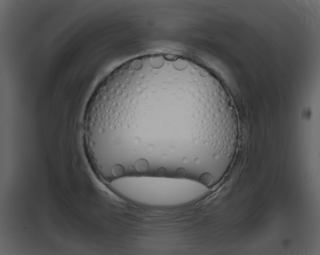 X0000097841471200803140824