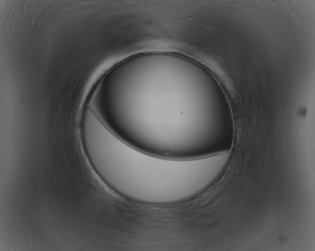 X0000097841472200803140824