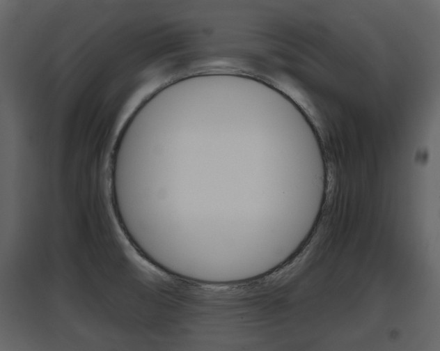 X0000097841474200803140824