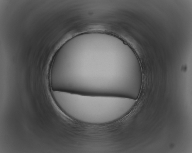 X0000097841475200803140824