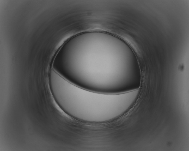 X0000097841476200803140824
