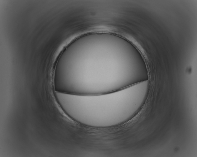 X0000097841477200803140824