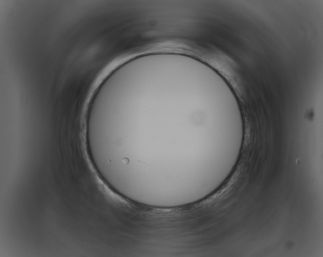 X0000097841478200803140824