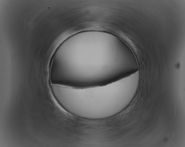 X0000097841479200803140824