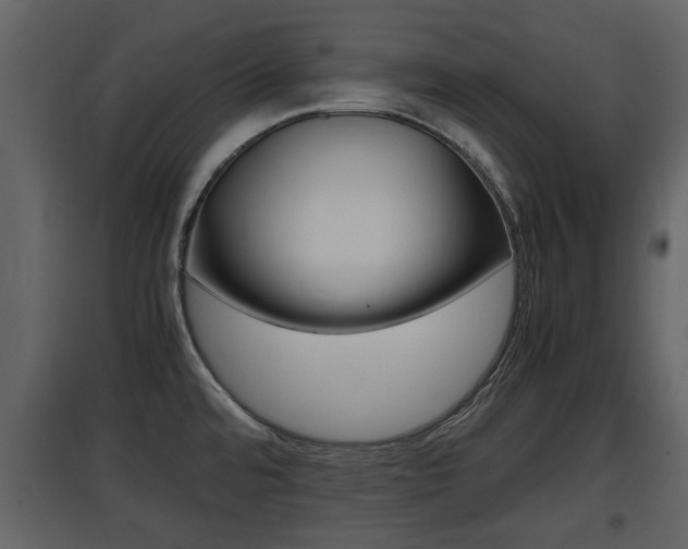 X0000097841480200803140824