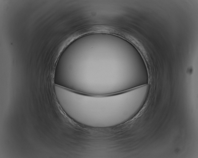 X0000097841481200803140824