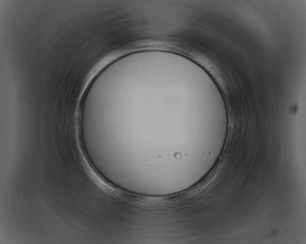 X0000097841482200803140824