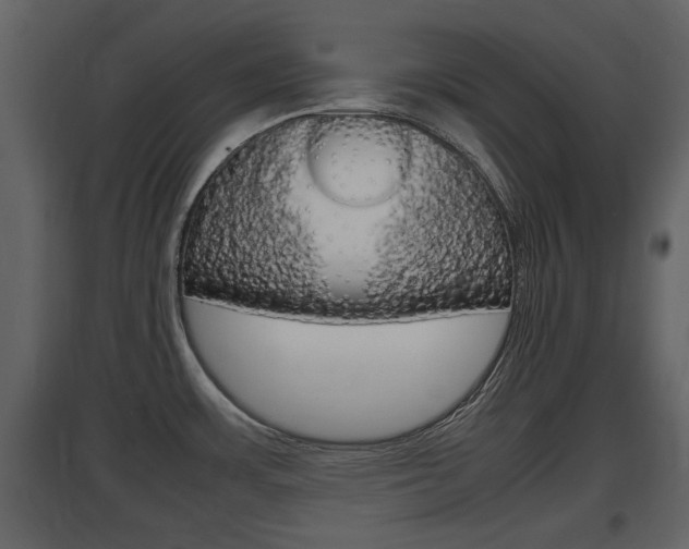 X0000097841483200803140824