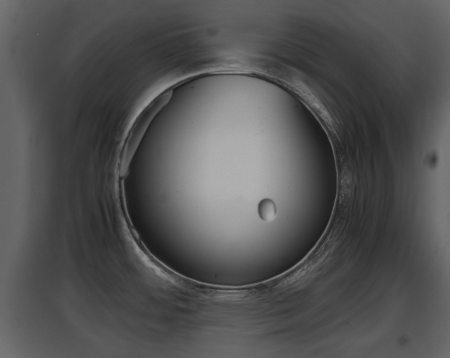 X0000097841484200803140824
