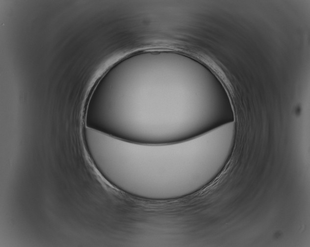 X0000097841485200803140823