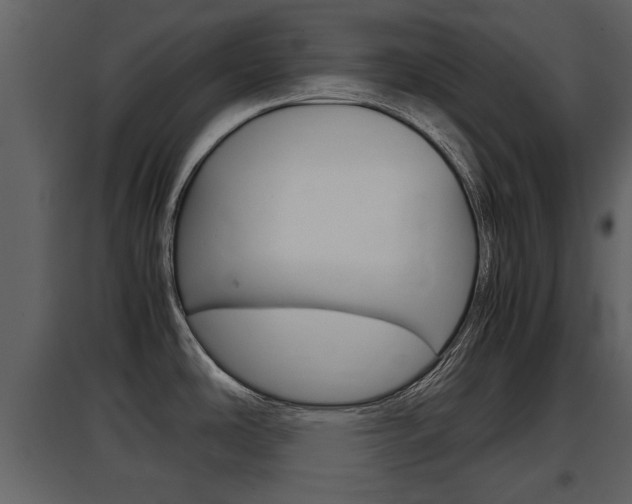 X0000097841486200803140823