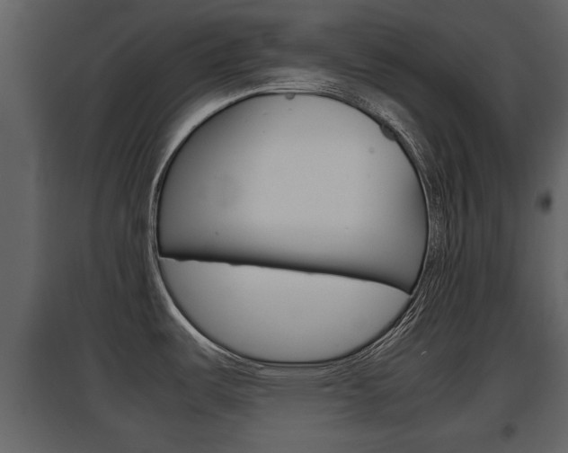 X0000097841487200803140823