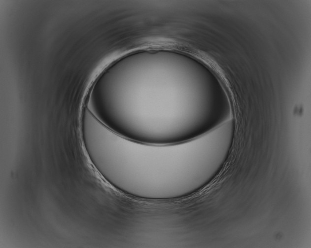 X0000097841488200803140823