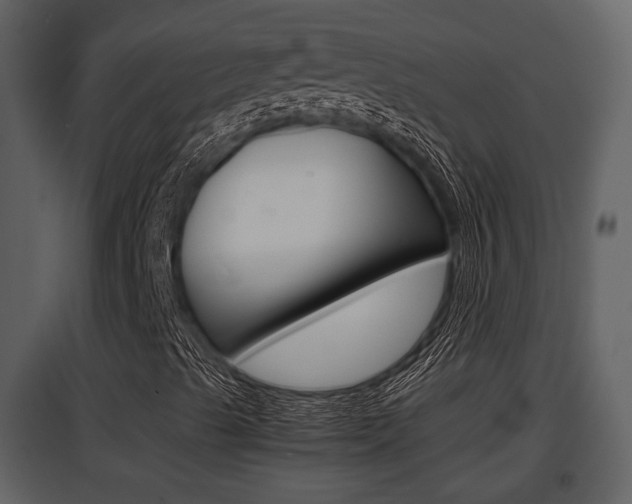 X0000097841489200803140823