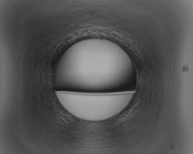X0000097841490200803140823