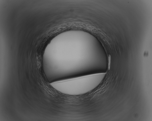 X0000097841491200803140823