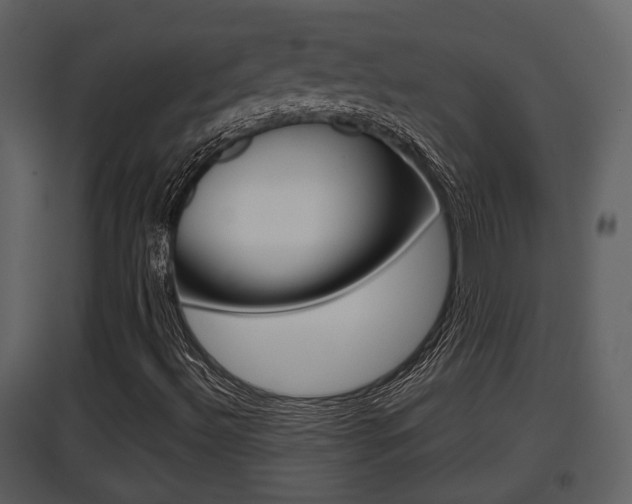 X0000097841492200803140823