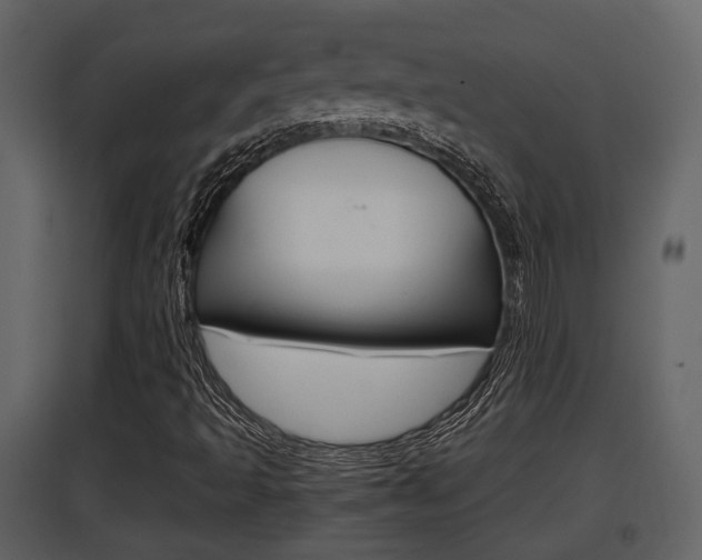 X0000097841493200803140823