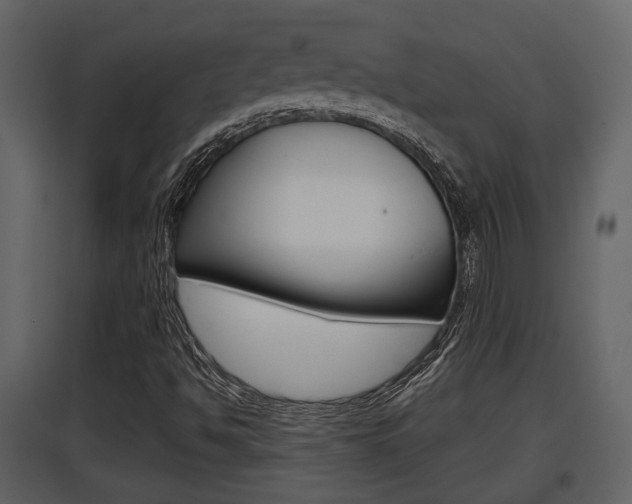 X0000097841494200803140823