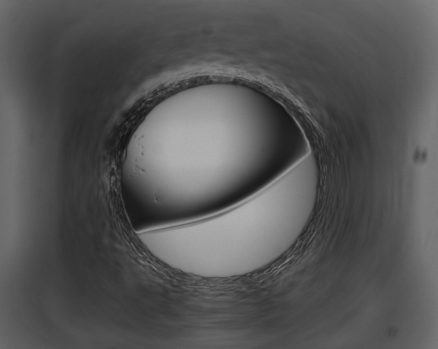 X0000097841495200803140823