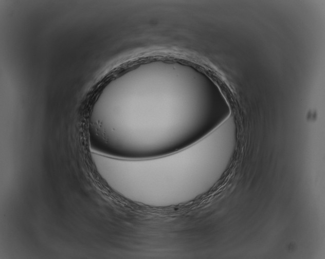 X0000097841496200803140823