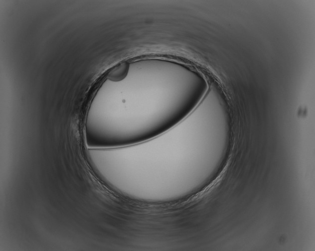 X0000097841497200803140823