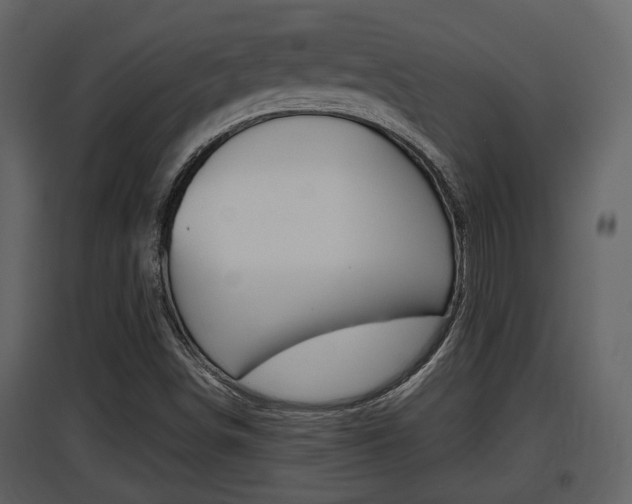 X0000097841498200803140823