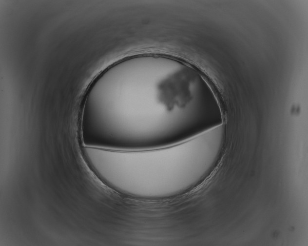 X0000097841500200803140823