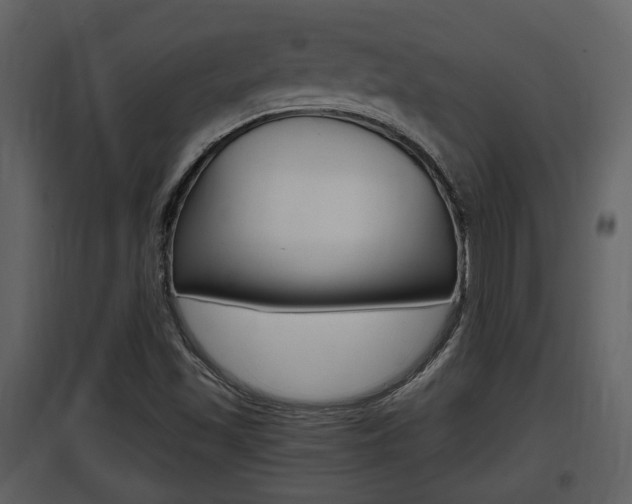 X0000097841501200803140823