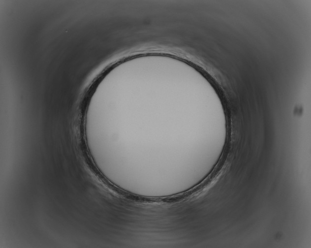 X0000097841502200803140823