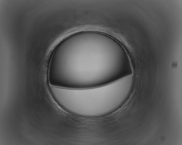 X0000097841504200803140823