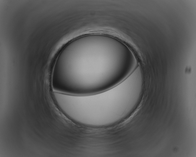 X0000097841506200803140823