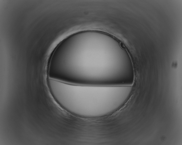 X0000097841512200803140823