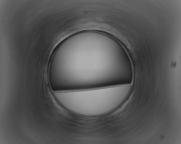 X0000097841513200803140823