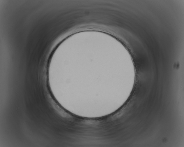 X0000097841514200803140823