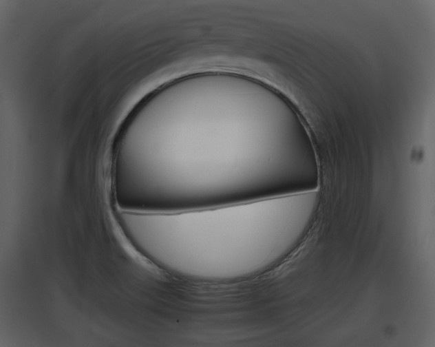 X0000097841515200803140823