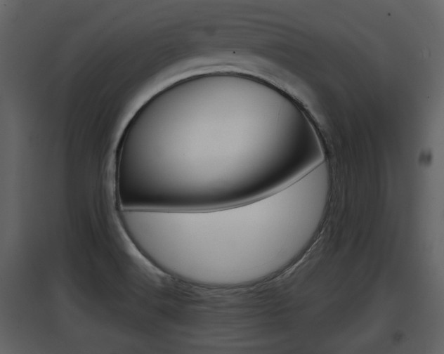 X0000097841516200803140823