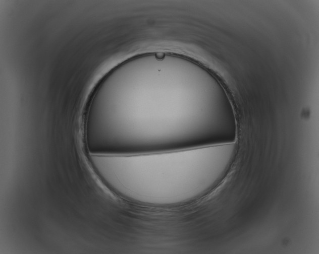 X0000097841517200803140823