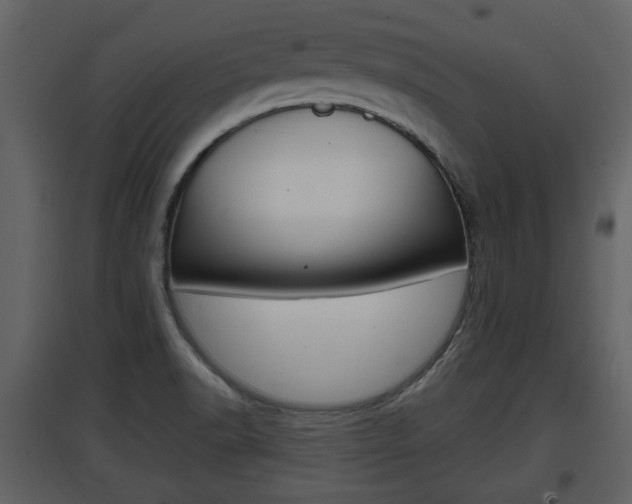 X0000097841518200803140823