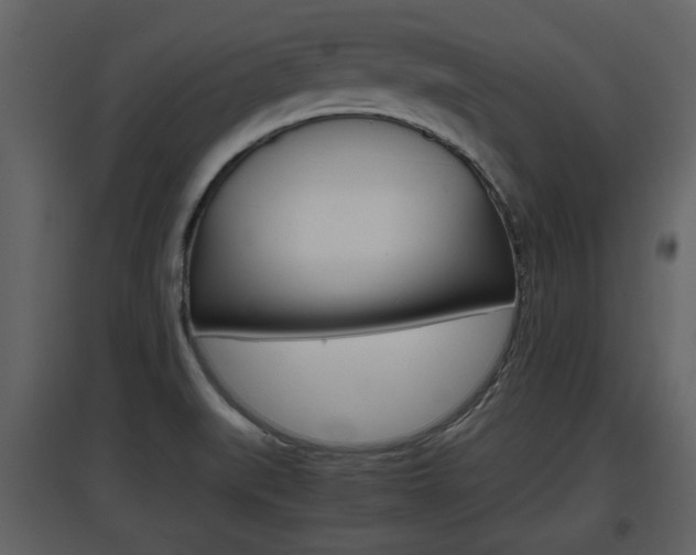 X0000097841519200803140823