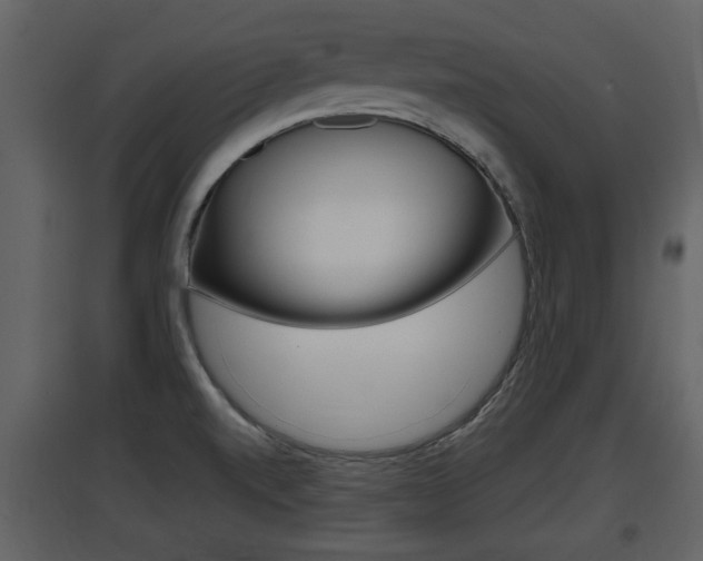 X0000097841520200803140823
