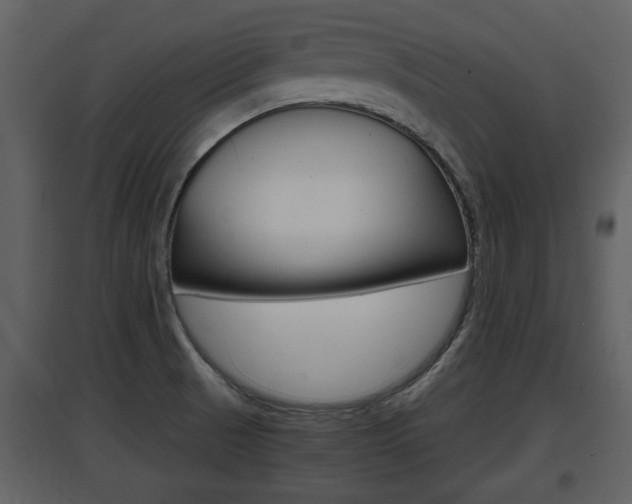 X0000097841521200803140823