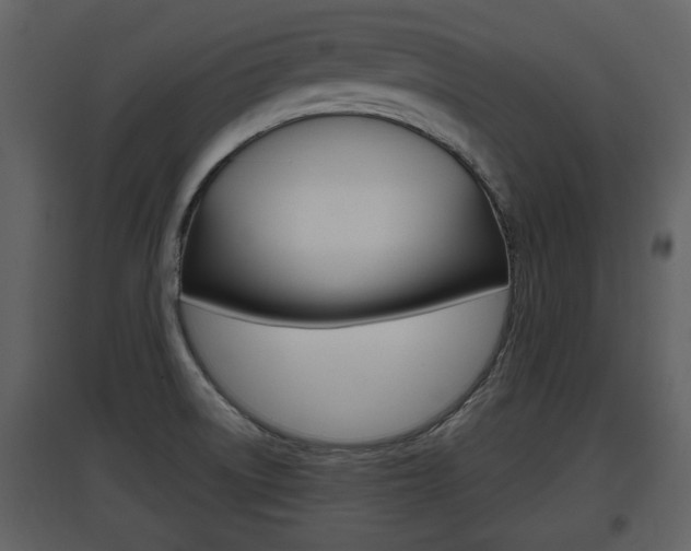 X0000097841522200803140823