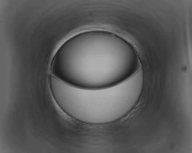 X0000097841524200803140823