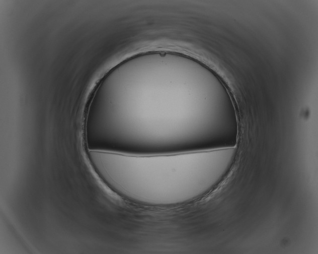 X0000097841525200803140823