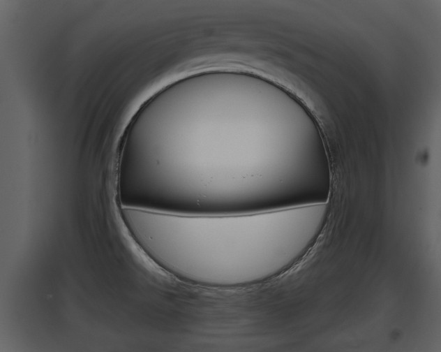 X0000097841526200803140823