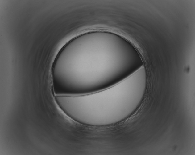 X0000097841527200803140823