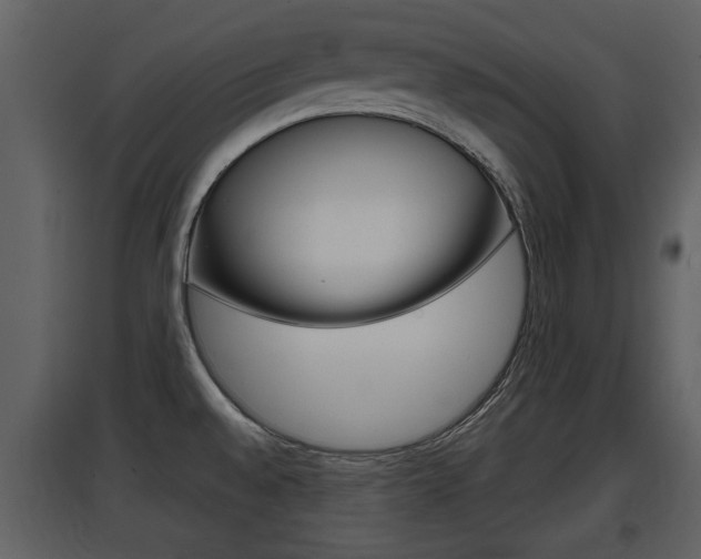 X0000097841528200803140823